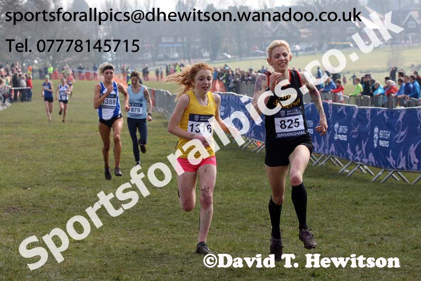 Senior womens 2016 Inter Counties Cross Country Champs. and Cross Challenge Final, Cofton Park, Birmingham. Photo: David T. Hewitson/Sports for All Pics